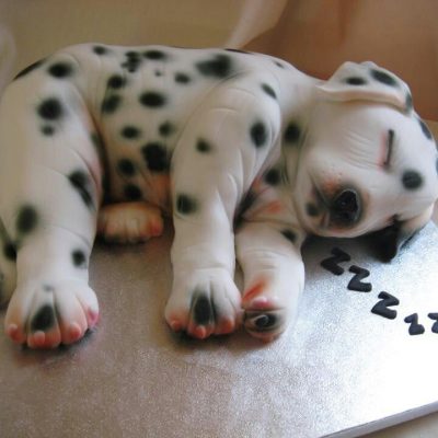 Sleeping Dog Shaped Cake