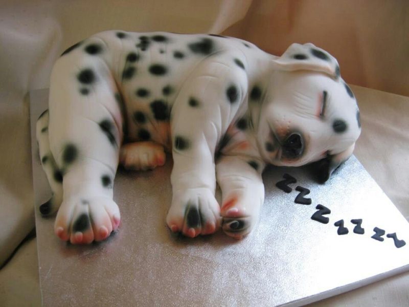 Sleeping Dog Shaped Cake